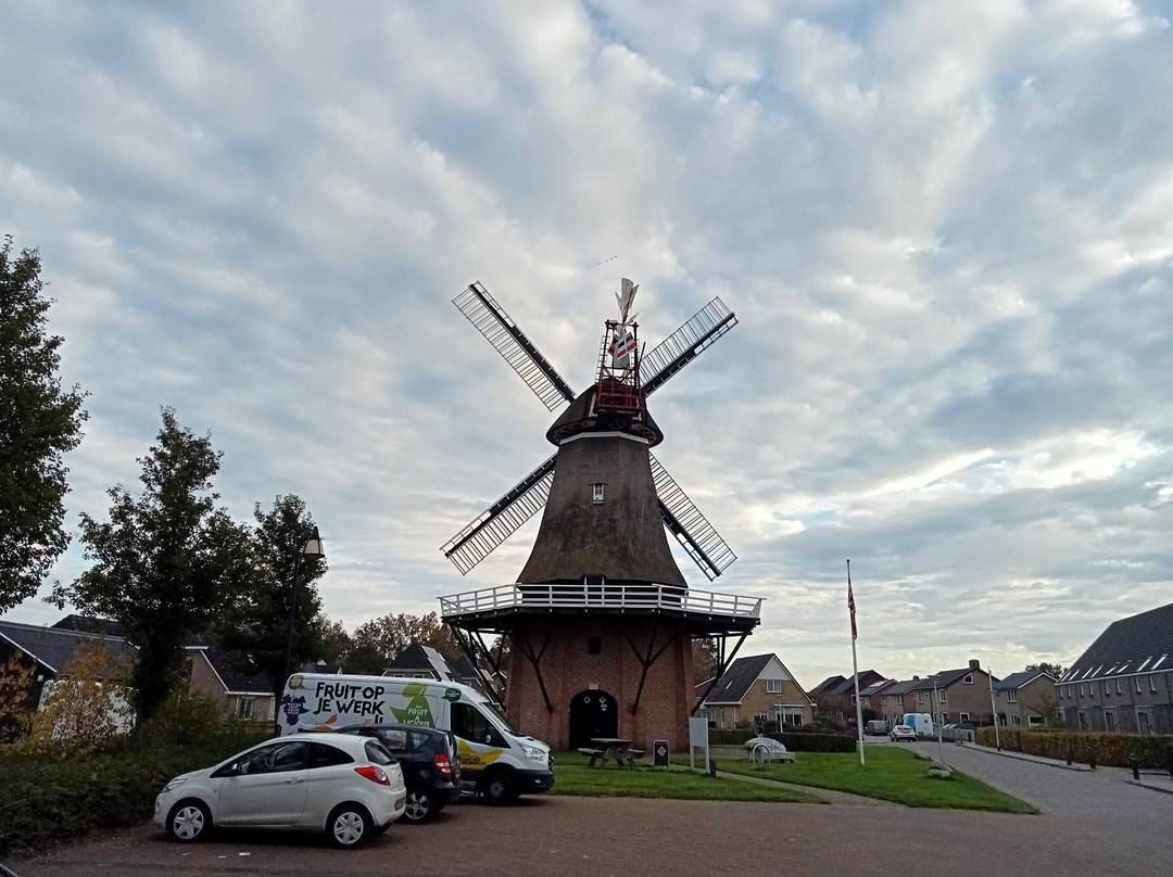 Molen De Sterrenberg景点图片
