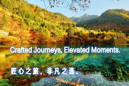 Panda Base Tour-Half Day-成都必去景点