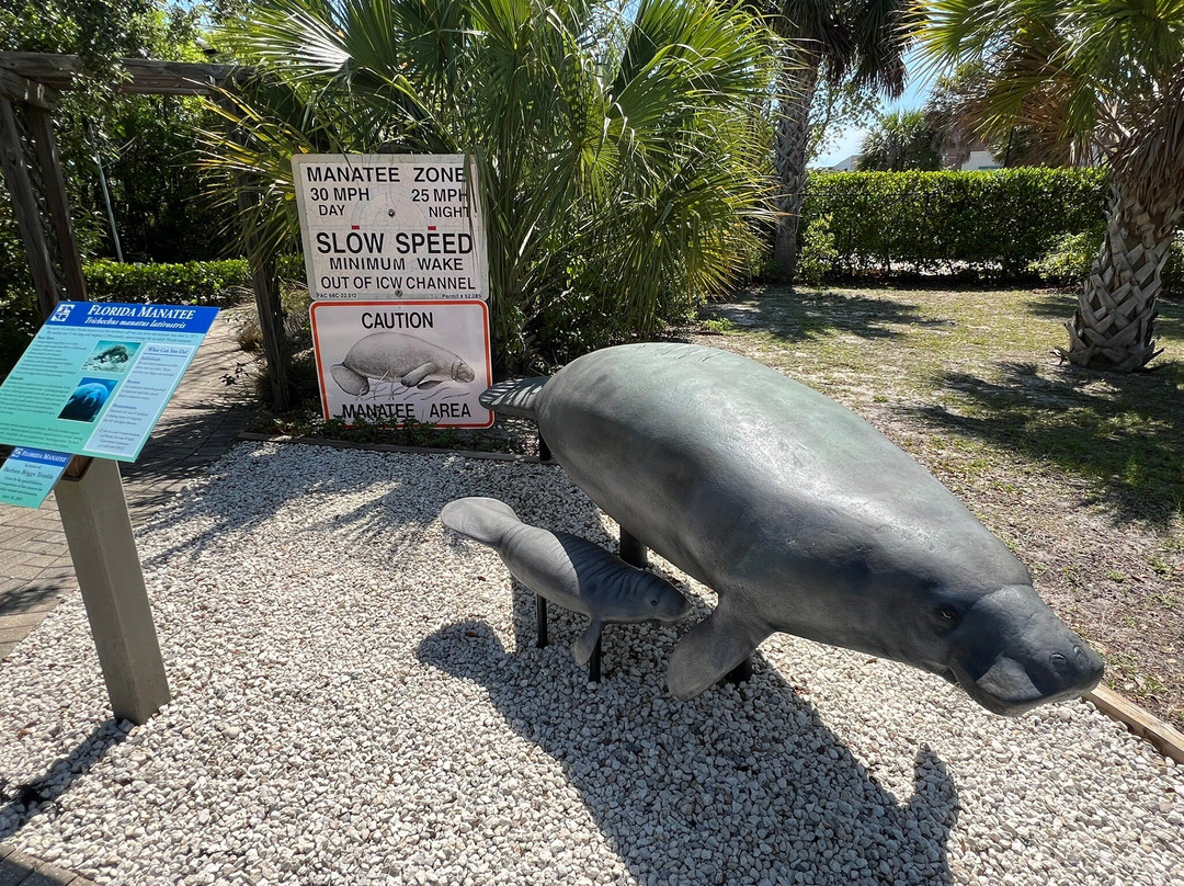 Florida Oceanographic Coastal Center-斯图尔特必去景点