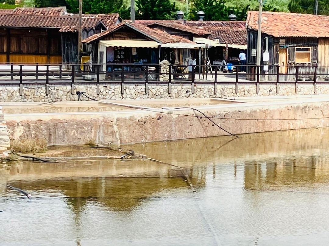 Salinas de Rio Maior景点图片