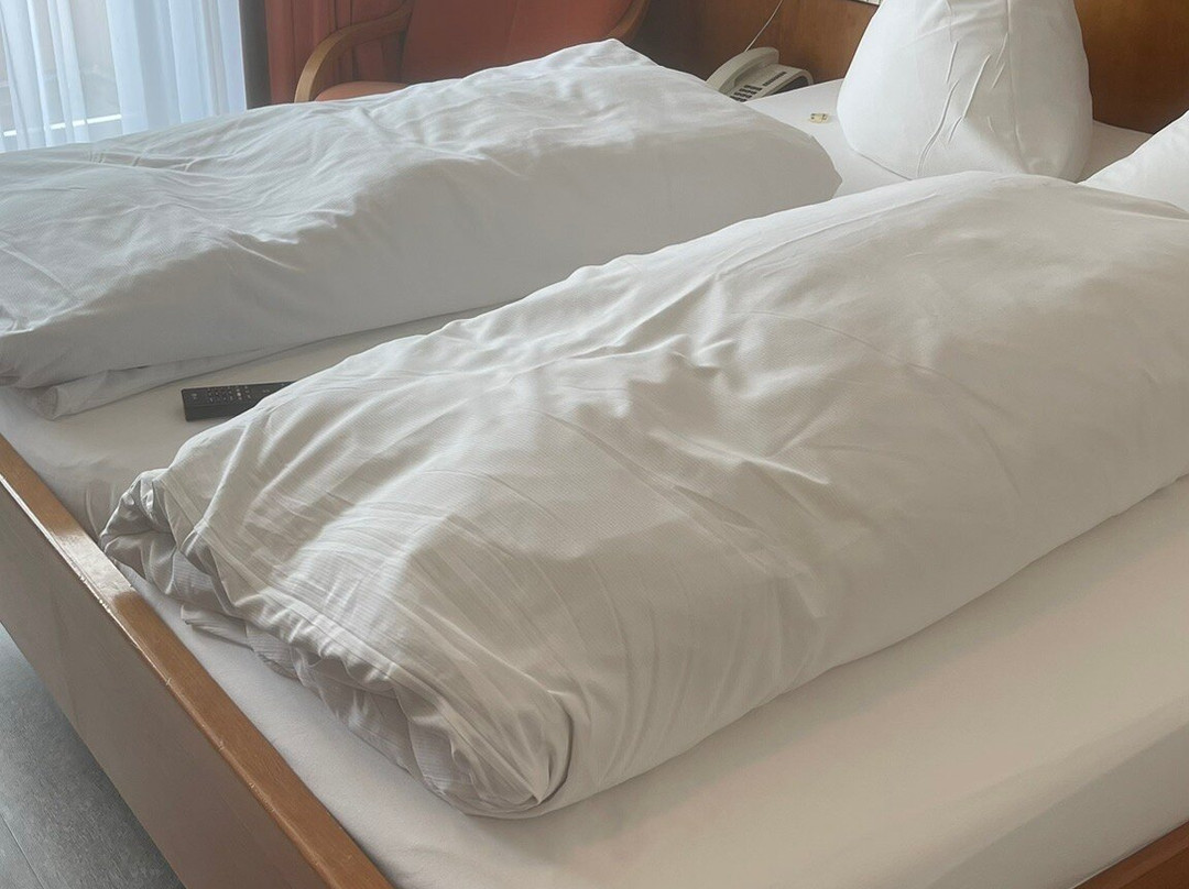 Hotel Zum Schiff主图