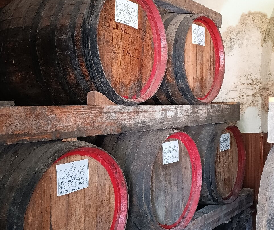 Curatolo arini  1875-马尔萨拉必去景点