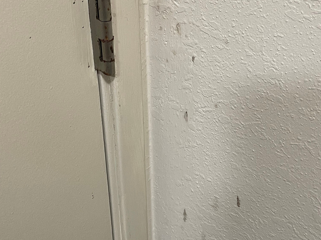 Wingate by Wyndham Charlotte Speedway/Concord主图