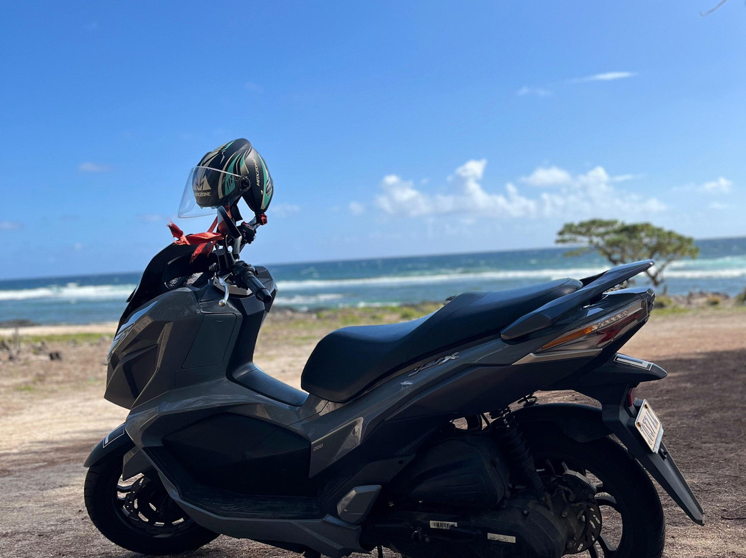 Tsp Scooter Rental-大湾必去景点