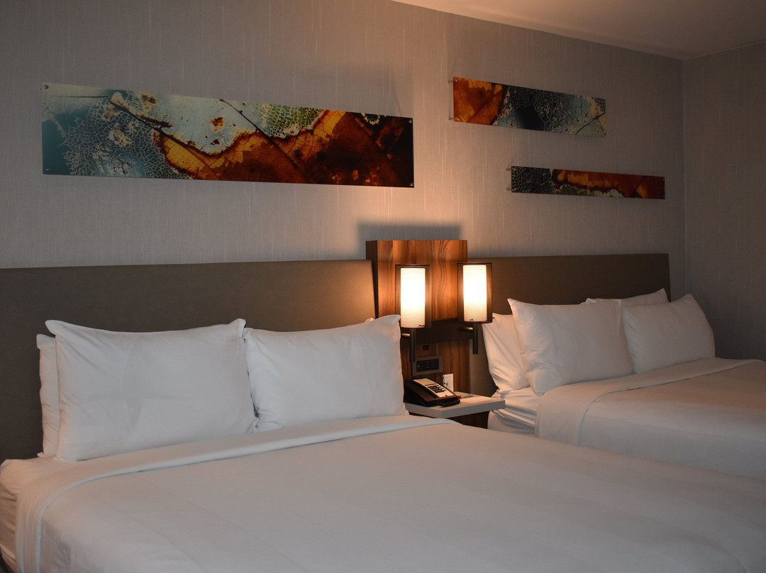 芝加哥奥克布鲁克万豪酒店主图