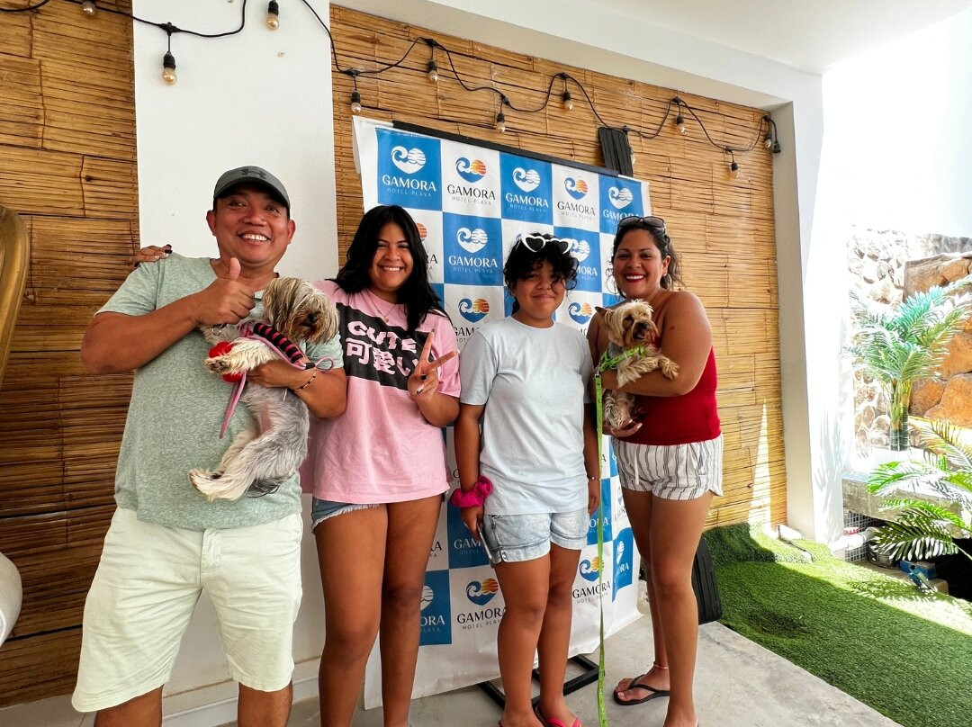 Gamora Hotel Playa主图