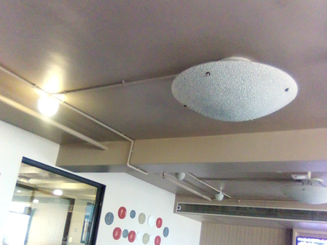 Keys Lite By Lemon Tree Hotels, Vadodara