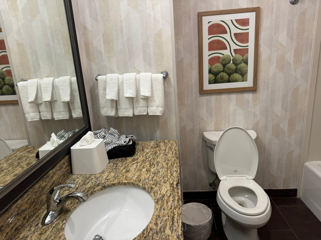 Hampton Inn & Suites Hope主图