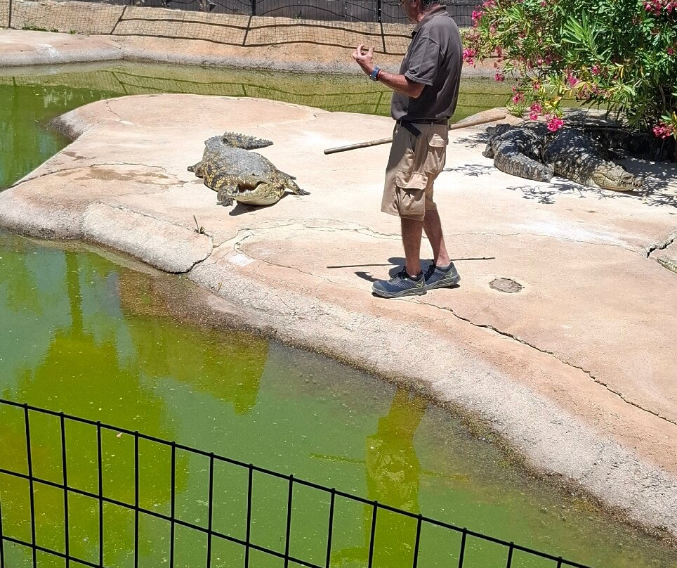 Crocodile Park景点图片