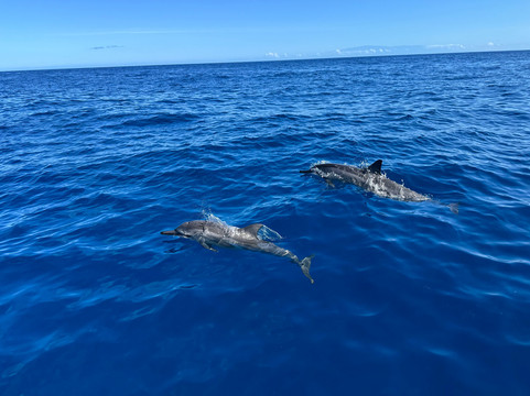 水上日光-凯鲁瓦-柯纳必去景点