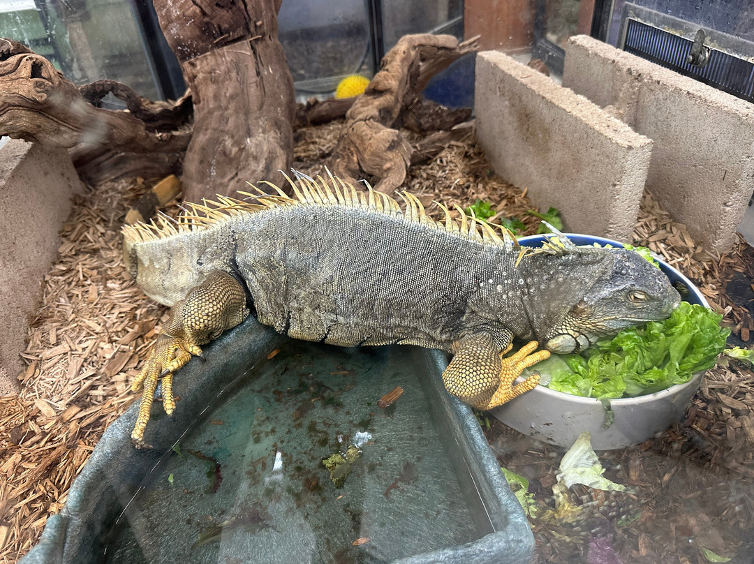 Jurupa Mountains Discovery Center-里弗赛德必去景点