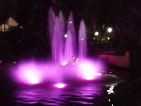 Funchal Guitar Quartet-沙尔必去景点