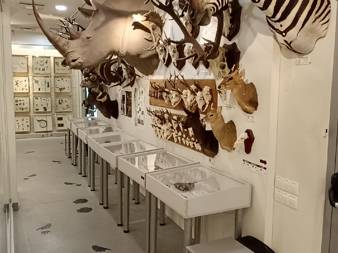 Vilnius University Zoological Museum-维尔纽斯必去景点