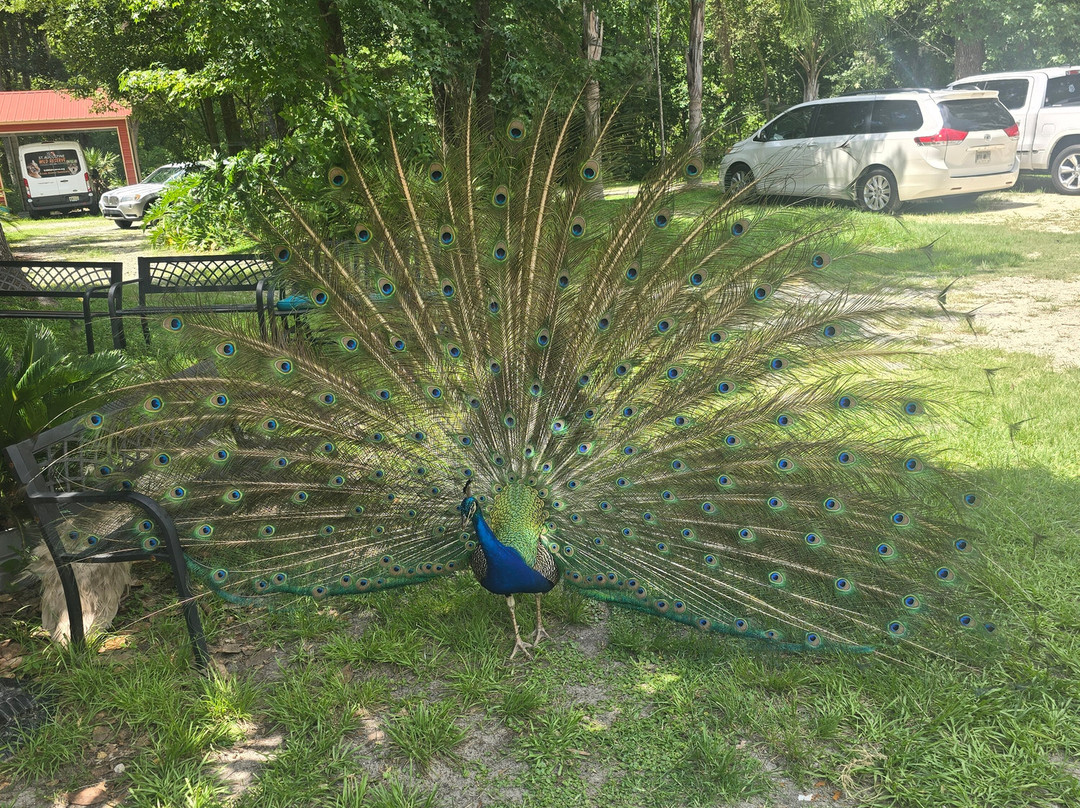 St. Augustine Wild Reserve-圣奥古斯丁必去景点
