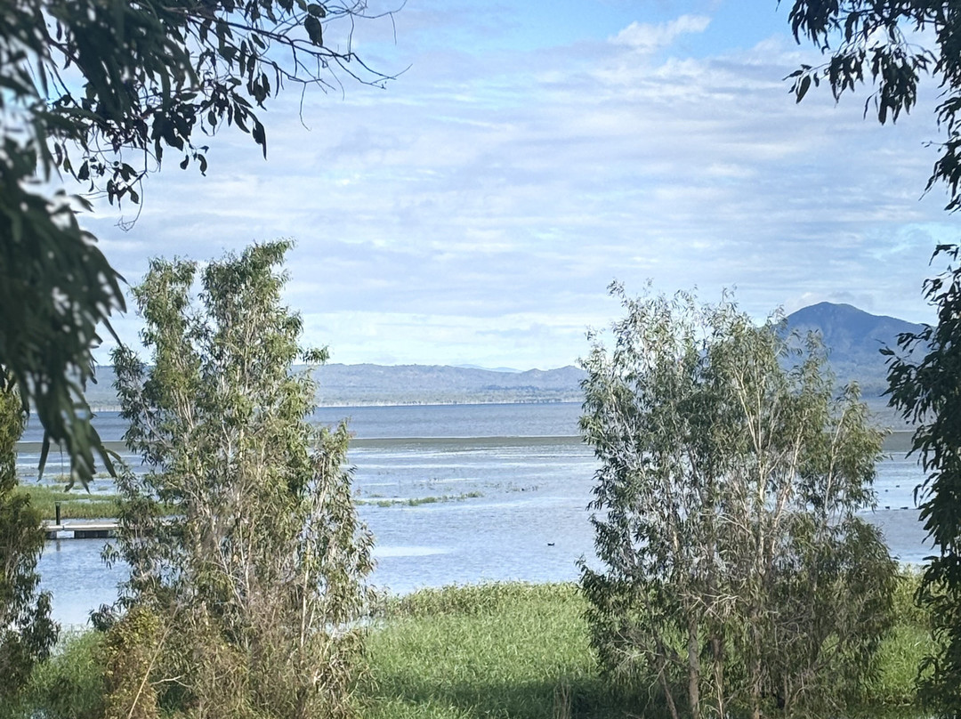 Peter Faust Dam-Proserpine必去景点