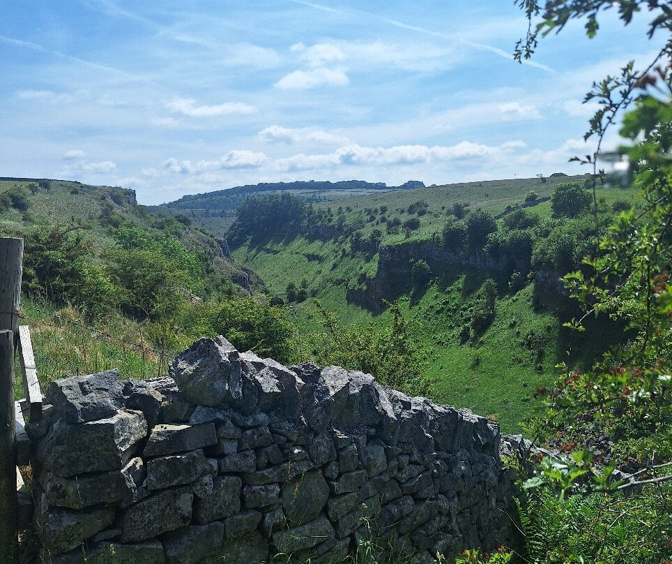 Birdsong Walks With Simon