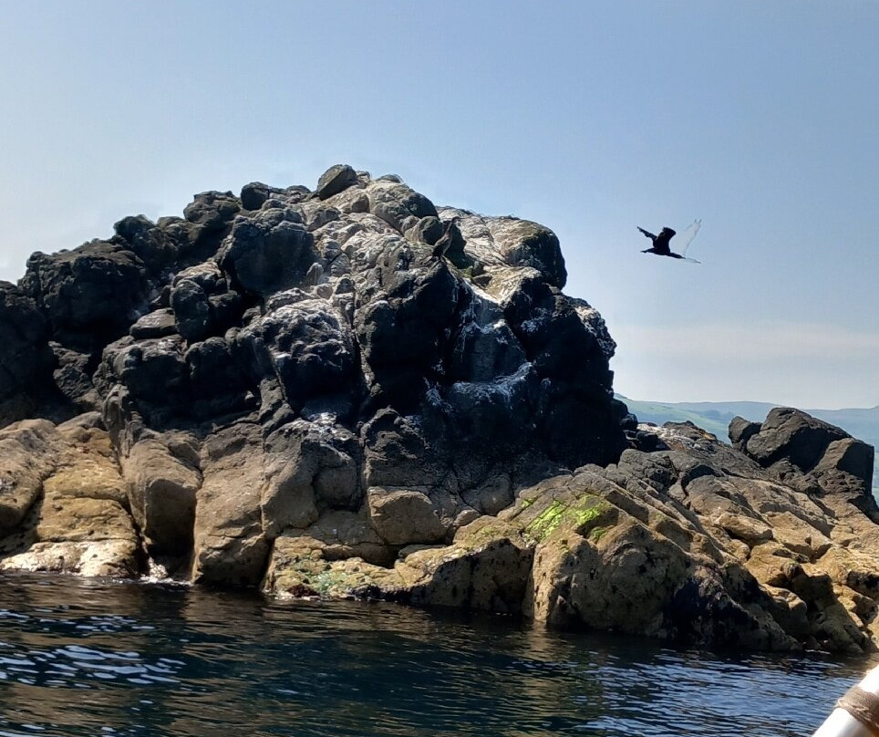 Carnlough Bay Boat Tours-Carnlough必去景点