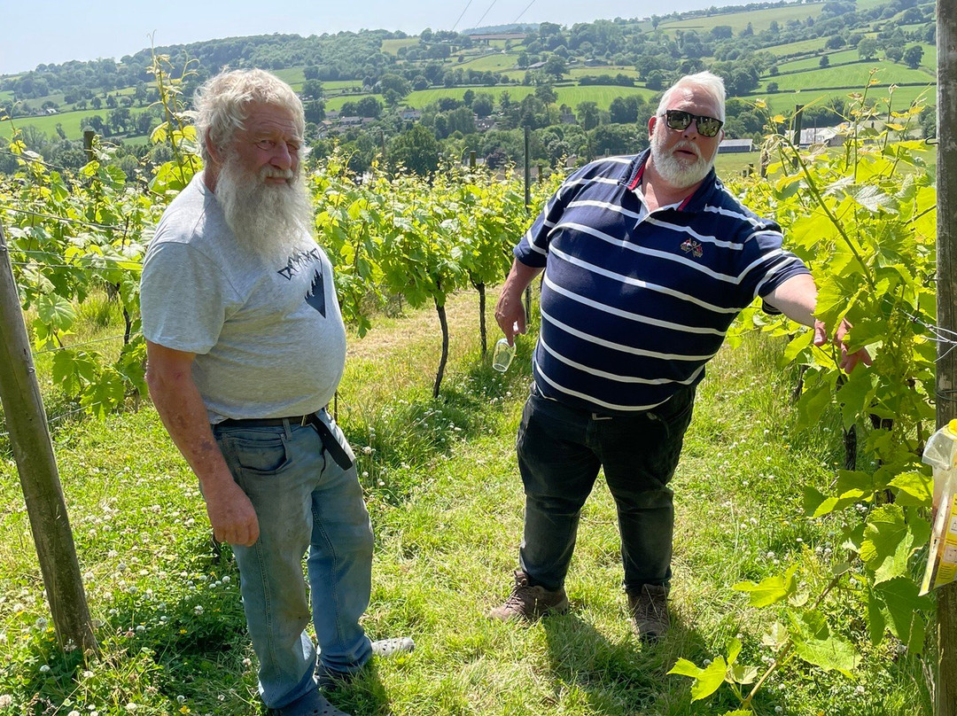 Dalwood Vineyard-Dalwood必去景点