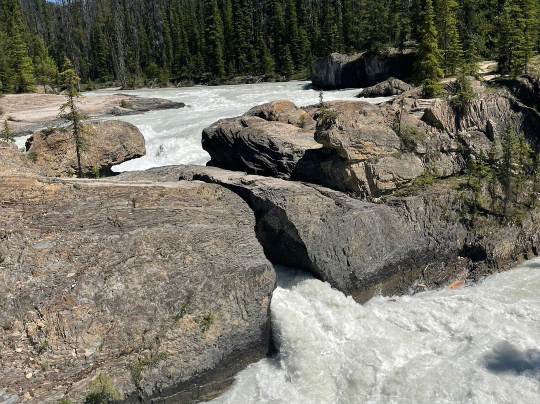 Kicking Horse River-菲尔德必去景点