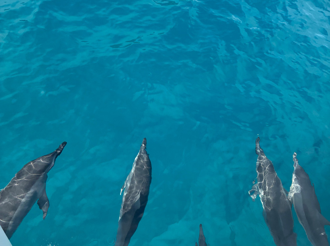 Napali Sea Breeze Tours-基拉韦厄必去景点