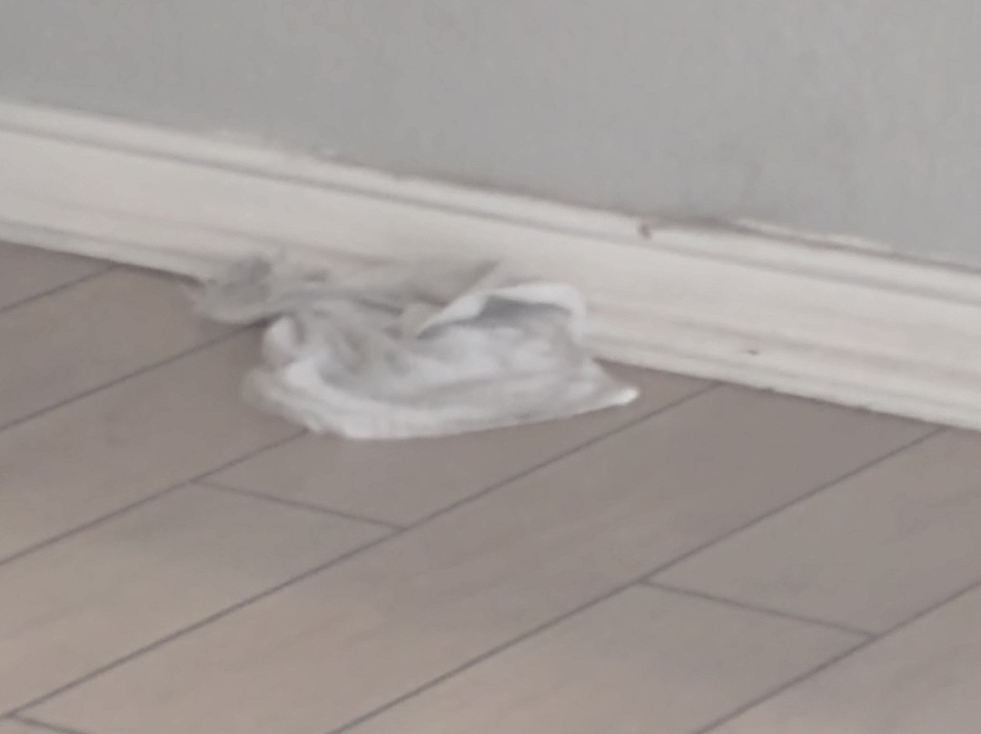 贝斯特韦斯特约书亚树国家公园花园酒店主图