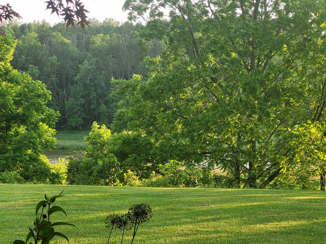 Samuels Boutique Hotel主图