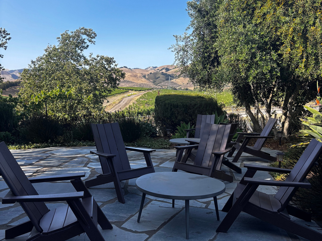 Chamisal Vineyards-圣路易斯-奥比斯波必去景点