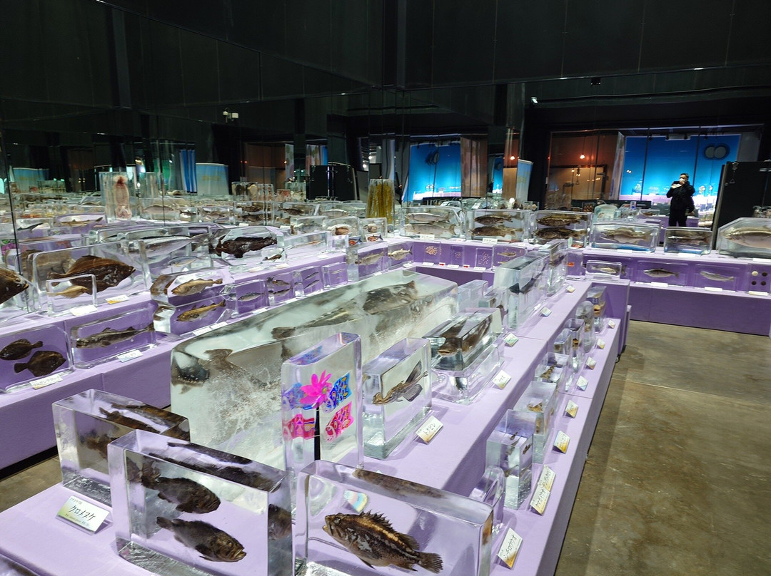 Okhotsk Sea Ice Museum of Hokkaido GIZA-纹别市必去景点