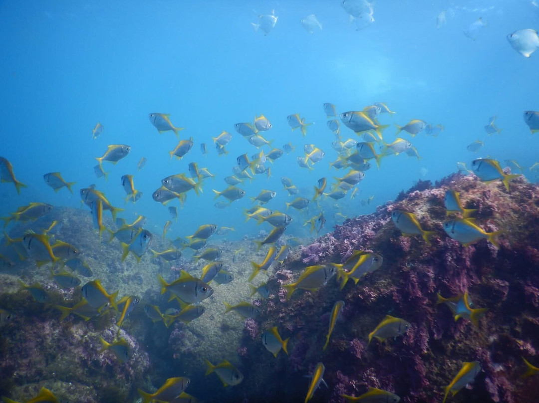 Watersports Guru-Kingscliff必去景点