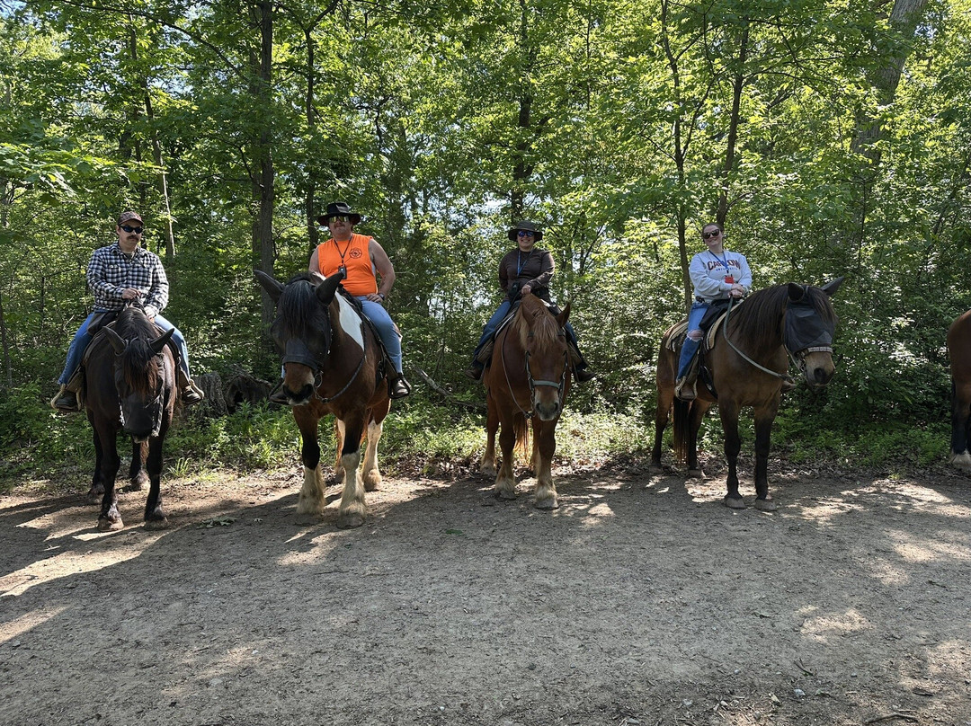Hickory Hollow Horse Farm-葛底斯堡必去景点