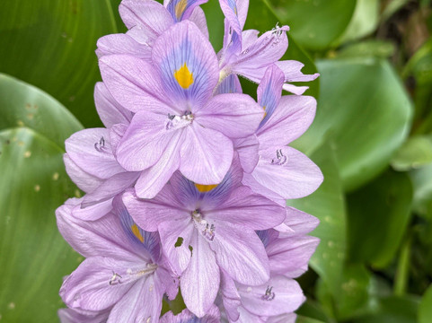Biodiverse Brazil Tours-Chapada dos Guimaraes必去景点