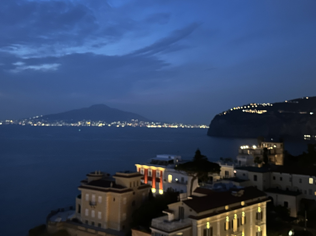 Hotel Mediterraneo Sorrento主图