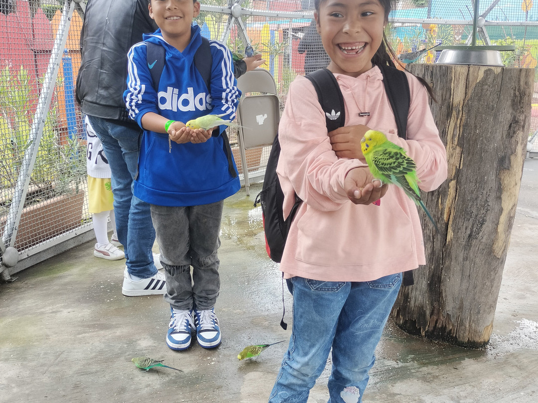 Zoo Parque Loro Puebla-普埃布拉必去景点