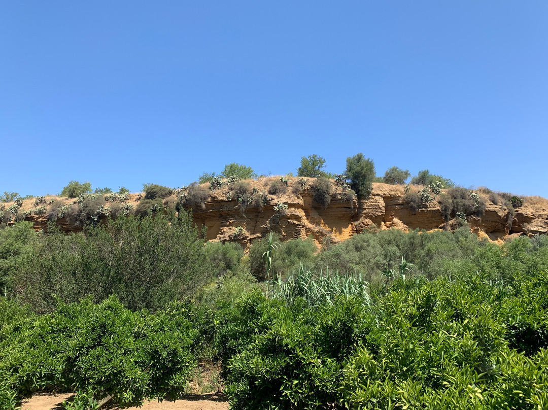 Giardino della Kolymbethra-阿格里真托必去景点