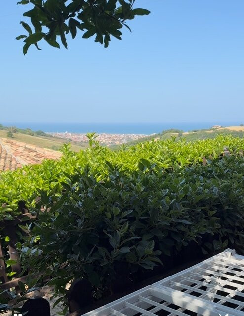 Country House Il Cascinale主图