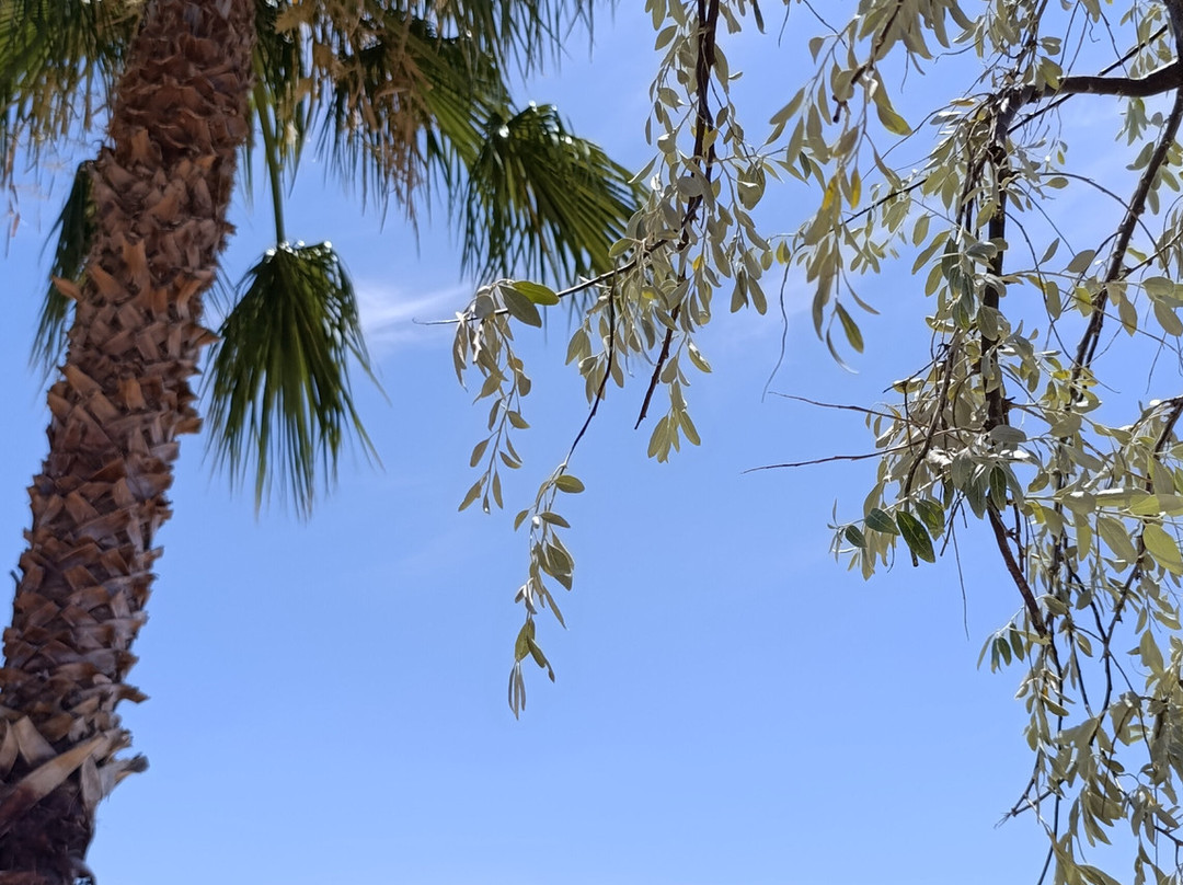 AğaPark-null必去景点