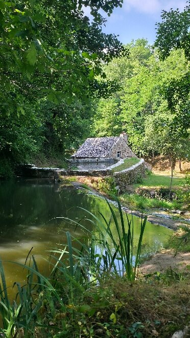 Les Martinets du Lezert-La Bastide-l'Eveque必去景点