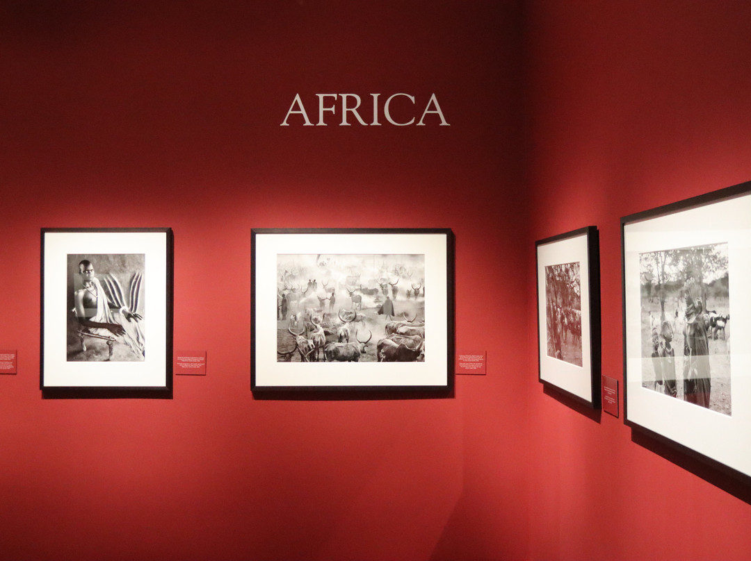 Musee D'art Contemporain-蒙特利玛必去景点