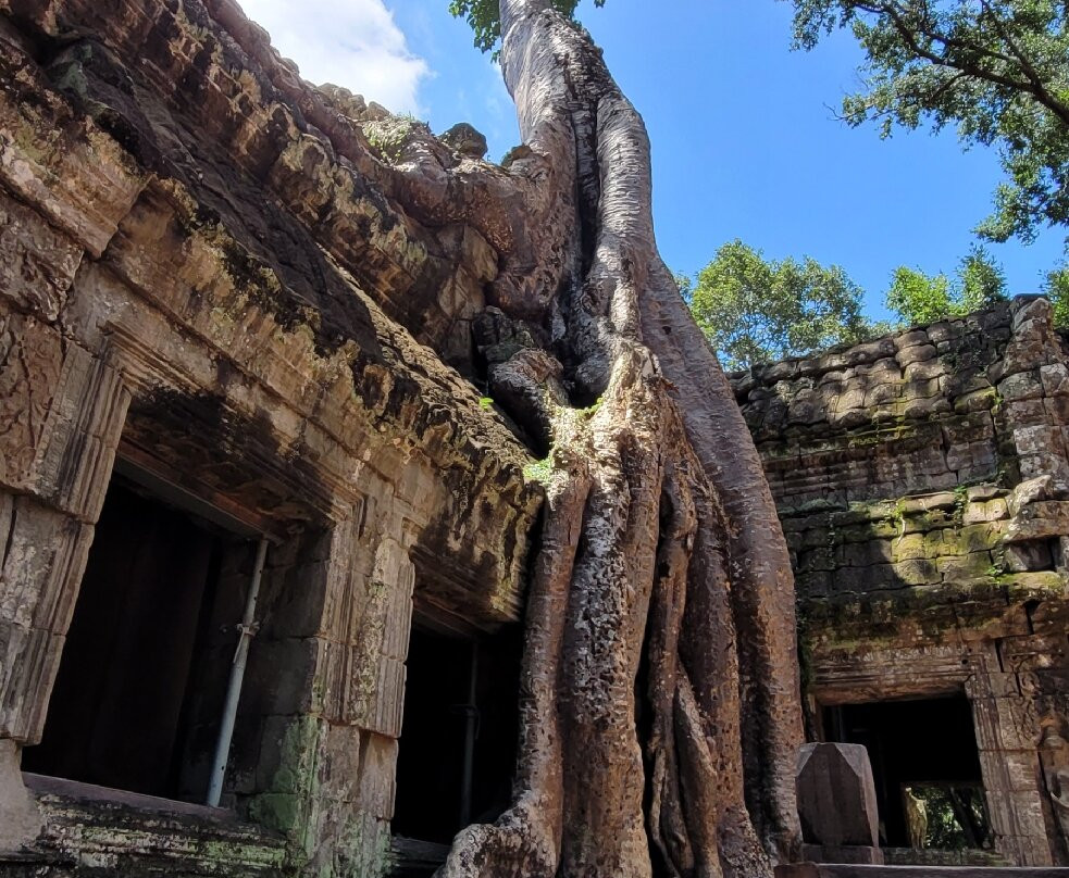 Davin Tuk Tuk Driver-暹粒必去景点
