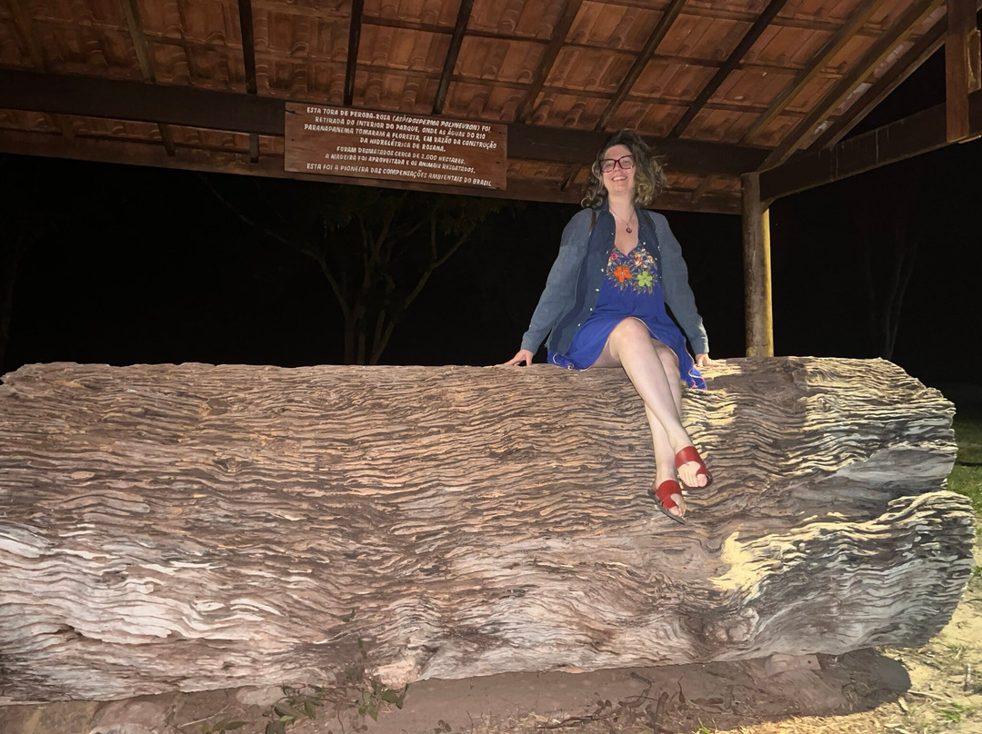 Parque Estadual Morro do Diabo-Teodoro Sampaio必去景点