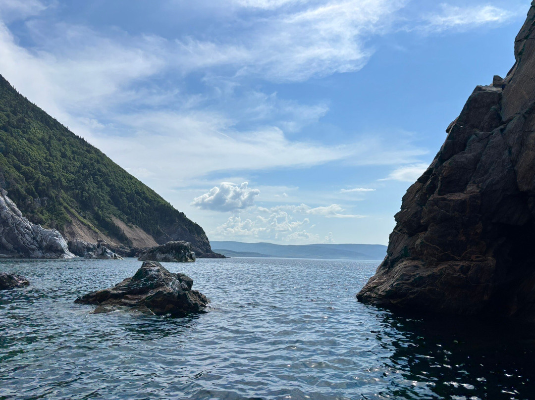 路易斯堡港住宿加早餐旅馆主图