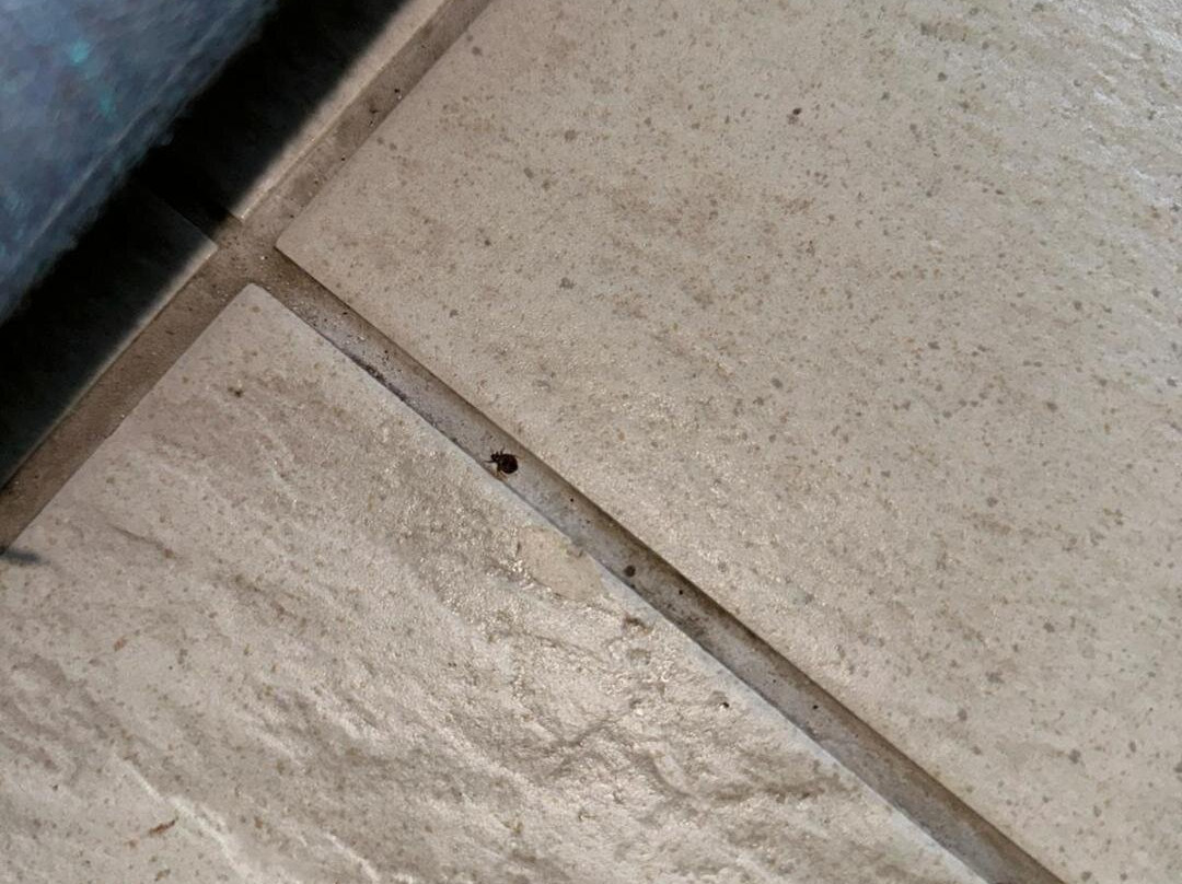 第一次登陆海滩度假别墅酒店主图