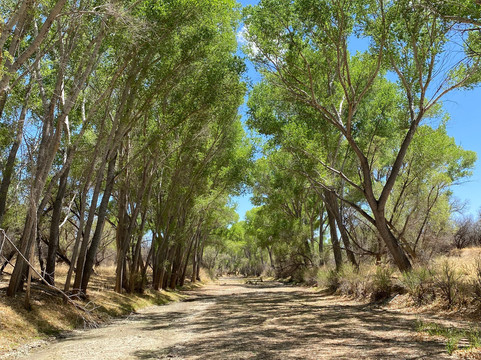 Jetalena Ranch-墓碑镇必去景点