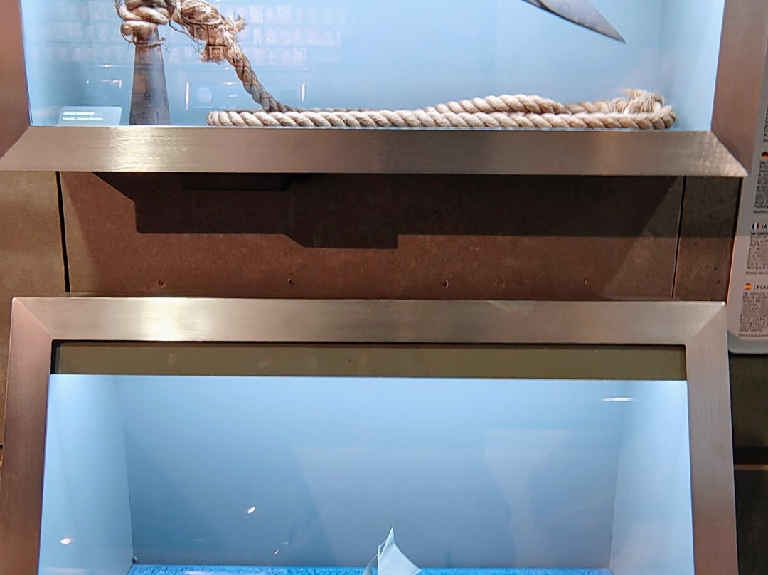 Museu da Baleia da Madeira-卡尼卡尔必去景点