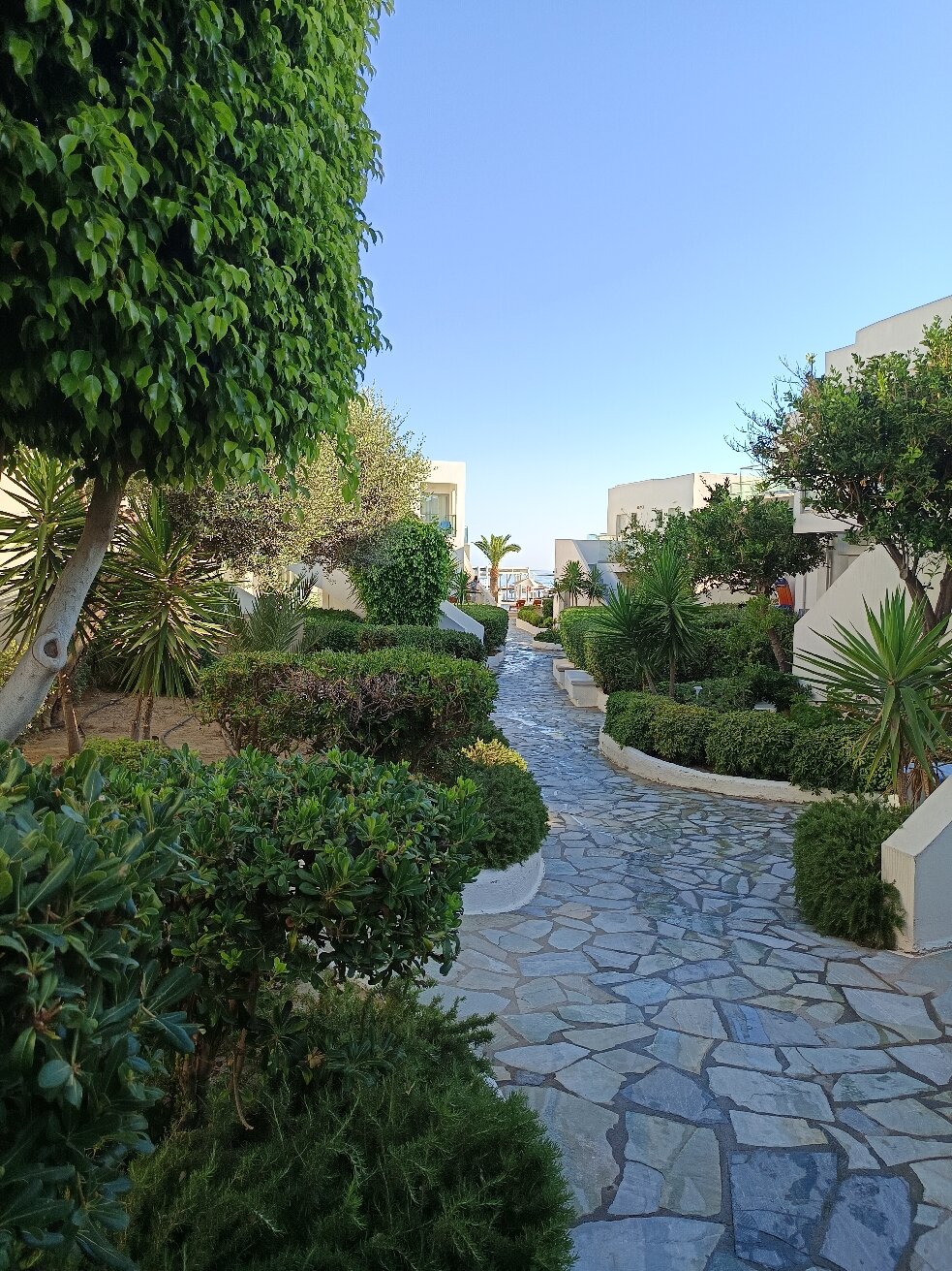 Adele Beach Hotel-官方