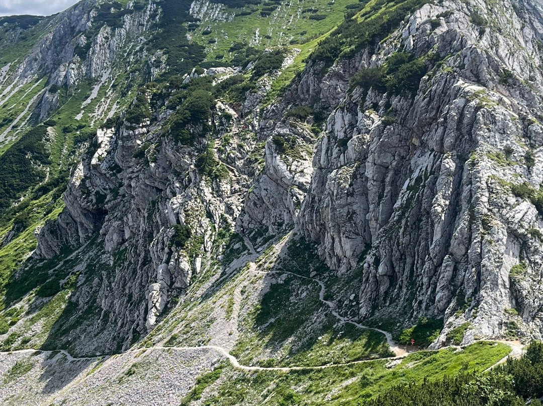 Vogel Ski Center-博希尼湖必去景点