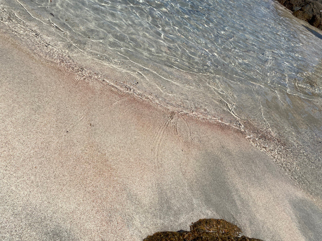 Spiaggia Bassa Trinita-拉马达莱娜必去景点