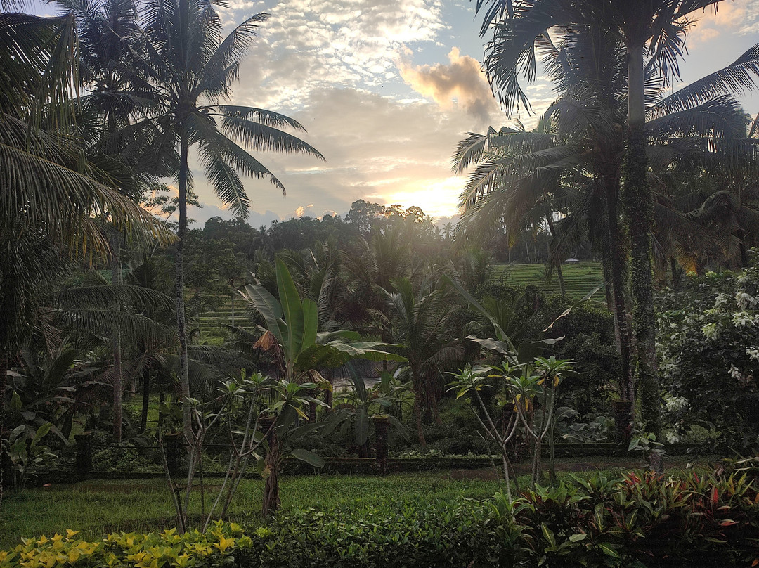 普瑞曼沙丽酒店主图