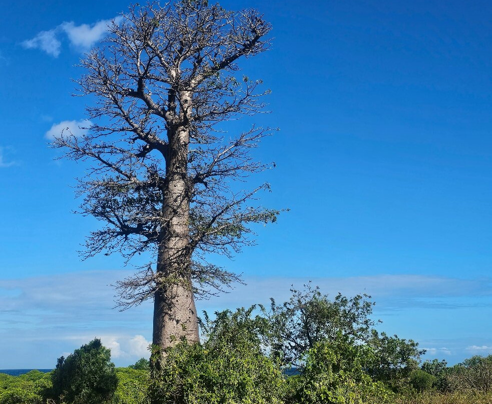 Akili Travel-Grande Comore必去景点