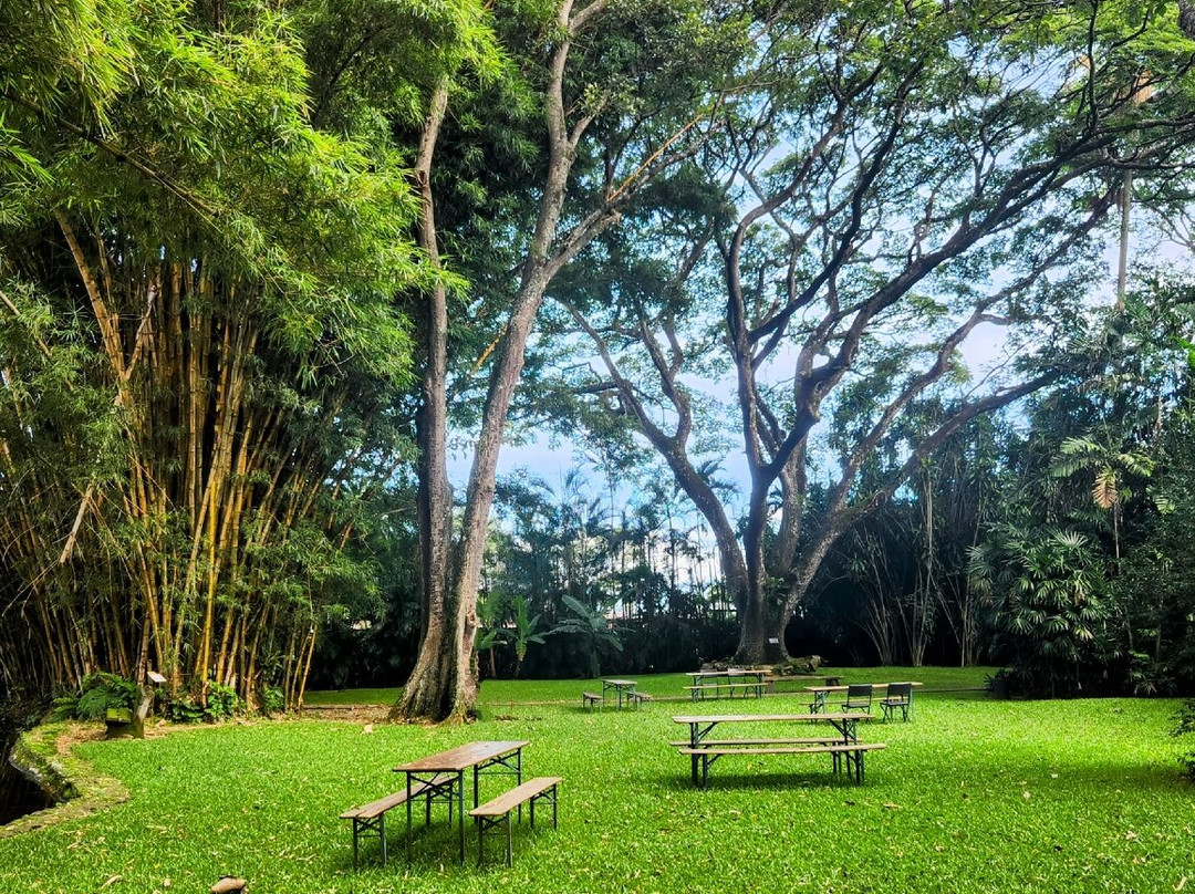 Botanical Orchid Garden-La Garita必去景点